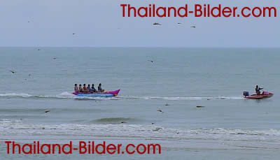 Libellen am Thailand Strand von Cha-Am