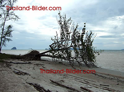 Ehemaliger Tsunami Strand bei Krabi