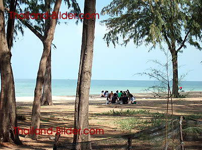 Picknick unter Pinienbumen am Strand von Songkhla